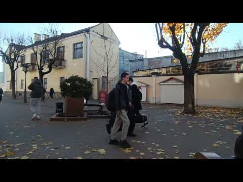 Видео: 05.11.2025 Brest Belarus... Уличные музыканты... Присоединяйтесь... Walks with Victoriа