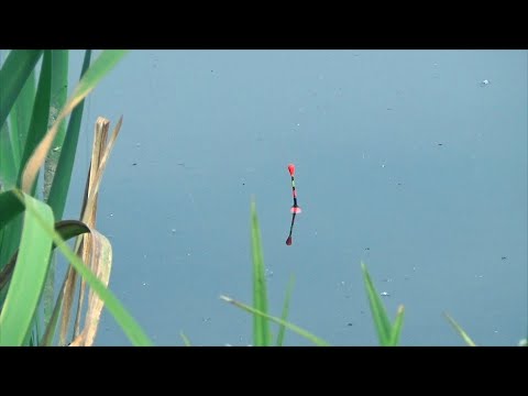 Видео: Нашёл новые места с хорошей рыбой