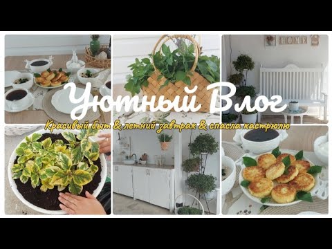 Видео: ЭСТЕТИКА И УЮТ В ДОМЕ 💖🏡 ЧУДО-СРЕДСТВО ДЛЯ УБОРКИ И СТИРКИ 🧹🧴 ИДЕАЛЬНЫЕ СЫРНИКИ 🥞👩‍🍳 САЖАЕМ ЦВЕТЫ 🌱🪴
