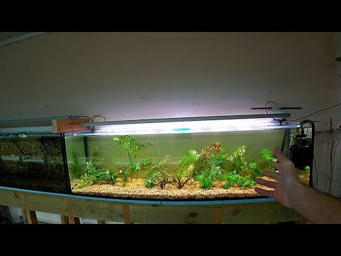 Видео: Сделал травник на разводне