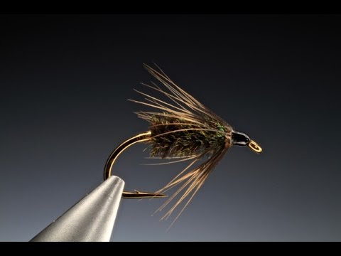 Видео: Завязываем мокрую мушку Coch-y-Bonddu с Барри Ордом Кларком