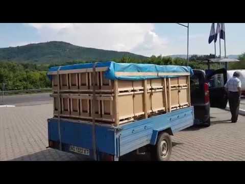 Видео: Как я пчелопакеты возил 13.05.2018