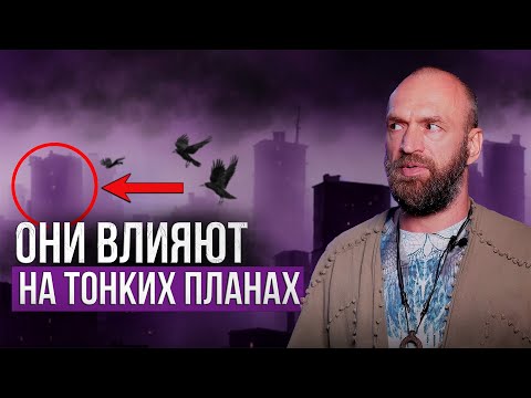 Видео: На людей, живущих в городах, оказывается сильнейшее энергетическое влияние.. Станислав Казаков