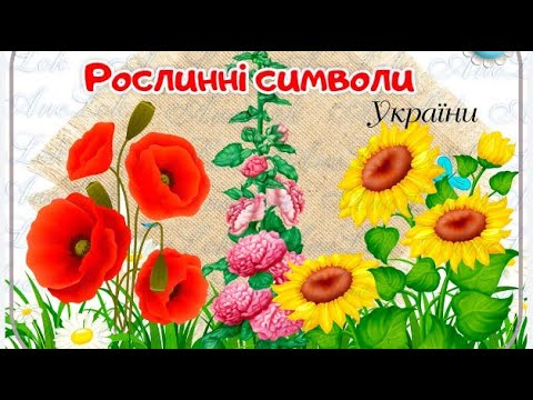 Видео: Година спілкування М.М.