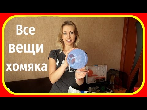 Видео: Где я храню вещи Джесси || Что в клетке хомяка || Покупки в зоомагазине || Гамак для хомяка