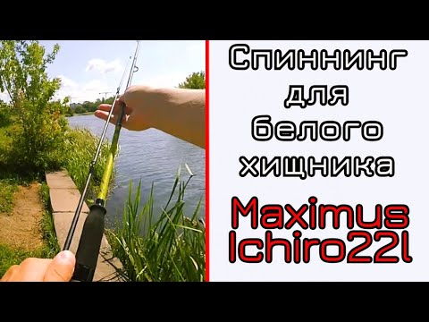 Видео: Спиннинг для блесен, голавля и лета! Maximus Ichiro 22l