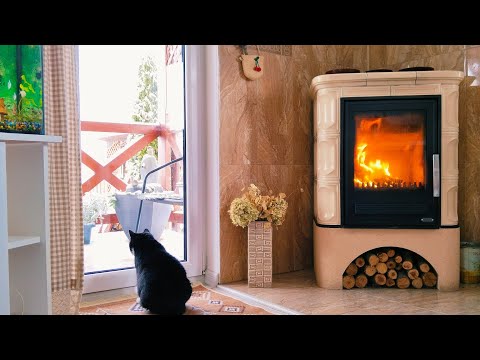 Видео: 💚Уютный Дом за городом, где живут простые люди.Сад 10 соток. Сею рассаду. Рецепт  #дом #жизнь #сад