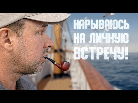 Видео: КАЛЫ ПОСХОДИЛИ С УМА!