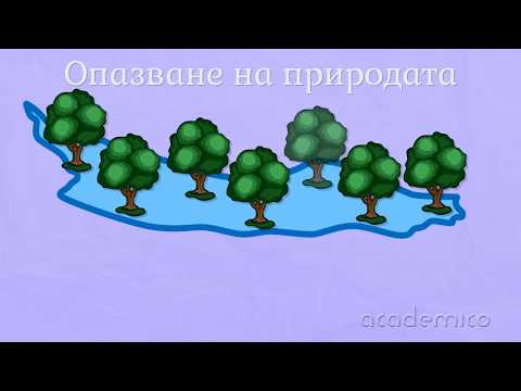 Видео: Старопланинска област - Човекът и обществото 4 клас | academico