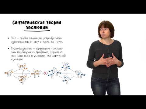 Видео: Эволюция - 3. Синтетическая теория эволюции - часть 2. 10 - 11 класс