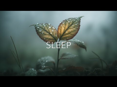 Видео: Расслабляющая акустическая гитарная музыка для глубокого сна и снятия стресса ~ Звуки природы
