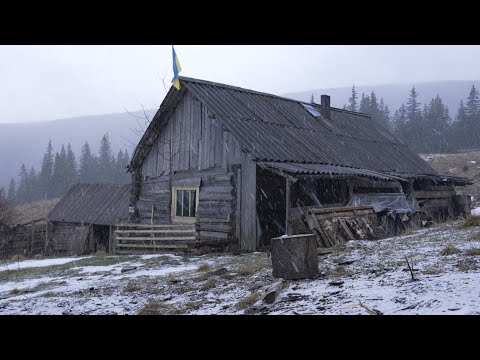 Видео: прячется в заброшенной бревенчатой хижине от сильного зимнего ветра