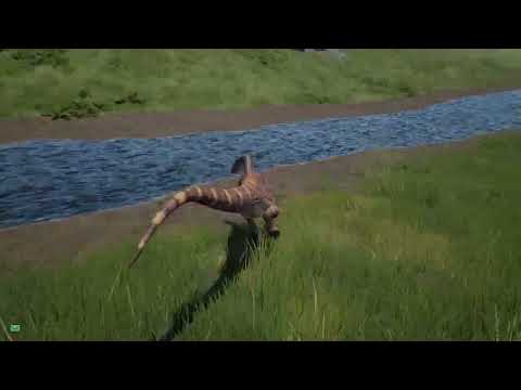 Видео: Спино подрос или стал деткой спино