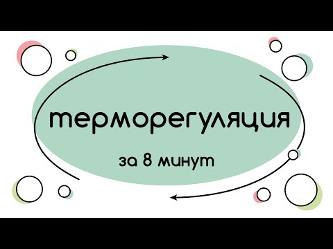 Видео: BioFamily: Терморегуляция за 8 минут