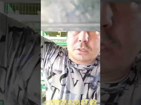 Видео: Пахта терими