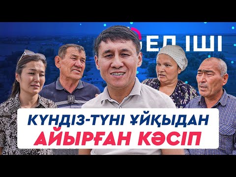 Видео: Күндіз-түні ұйқыдан айырған кәсіп
