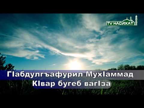 Видео: Г!абдулгъафурил Мух!аммад-КIвар бугеб ваг!за (ТВ НАСИХ!АТ)