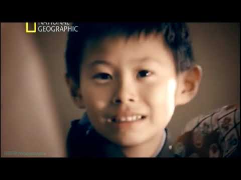 Видео: кладбище воинов~оживщие самураи