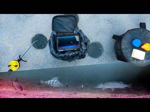 Видео: ЗАТЯГУЄ ВУДОЧКИ В ЛУНКУ! Підводна зйомка. Зимова риболовля на озері біля лісу