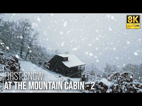 Видео: Первая снежная буря зимы: Магическое утро в лесу, часть 2 - 8K | Mr Wild Nature