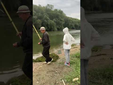 Видео: 10 ноября 2025 г.