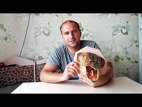Видео: Как сделать чучело из головы щуки.