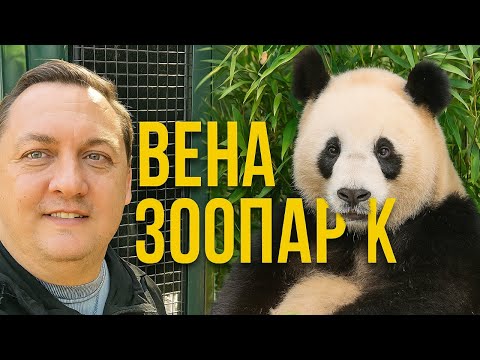Видео: ВЕНА ЗА ОДИН ДЕНЬ - ШЁНБРУНН И СТАРЕЙШИЙ ЗООПАРК МИРА