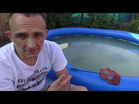 Видео: (6)ДАФНИЯ РАЗВЕДЕНИЕ