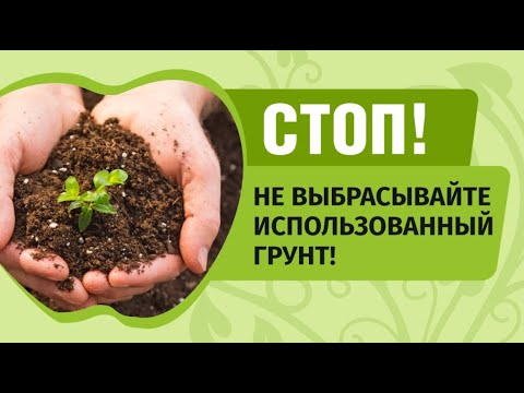 Видео: Как повысить плодородие почвы. Делаем плодородный грунт из отработанной земли.