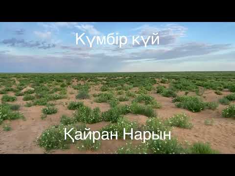 Видео: Махамбеттің күйі Қайран Нарын, орындаған Қаршыға Ахмедияров