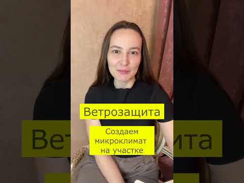 Видео: Ветрозащита, как создать микроклимат на участке.