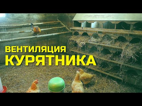 Видео: Грамотная и простая ВЕНТИЛЯЦИЯ КУРЯТНИКА