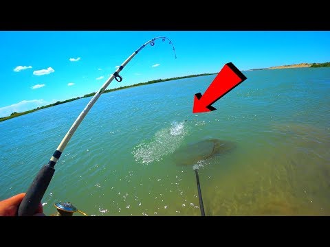 Видео: САЗАН И ВОБЛА ПЁРЛИ БЕЗ ОСТАНОВКИ!!! И НЕ ДАЛИ СПАТЬ НИ НОЧЬЮ НИ ДНЕМ. Рыбалка как активный отдых.