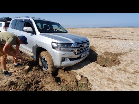 Видео: Тузкан - засадил кукурузер