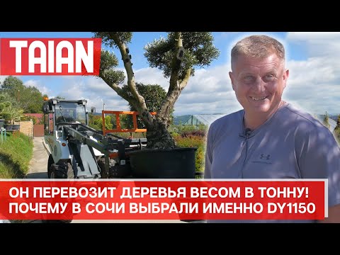 Видео: Он перевозит деревья весом в тонну! Почему в Сочи выбрали именно TAIAN DY1150