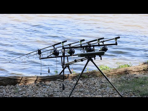 Видео: 24 часа рыбалка на сазана и белого амура, наловили много крупной рыбы, клёв карпа осенью карпфишинг