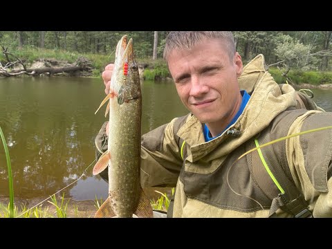 Видео: Не Покупайте такое!Рыбалка на Пре!Ядерные Караси!