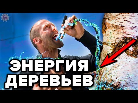 Видео: ДЕРЕВЬЯ КОТОРЫЕ ДАЮТ И ВЫКАЧИВАЮТ ЭНЕРГИЮ 🌳 БИОЭНЕРГЕТИКА ДЕРЕВЬЕВ - НАУКА О КОТОРОЙ МОЛЧАТ