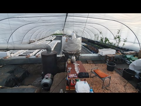 Видео: Зимняя теплица. Отопление, конструкция и что выращиваем.