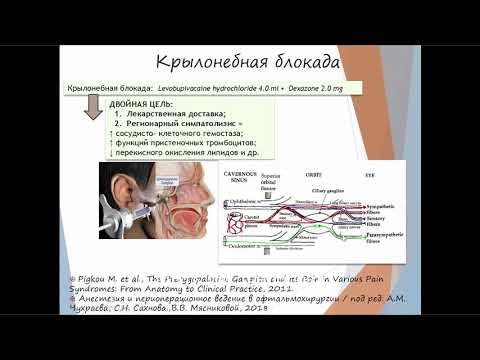 Видео: Аутоиммунные кератиты