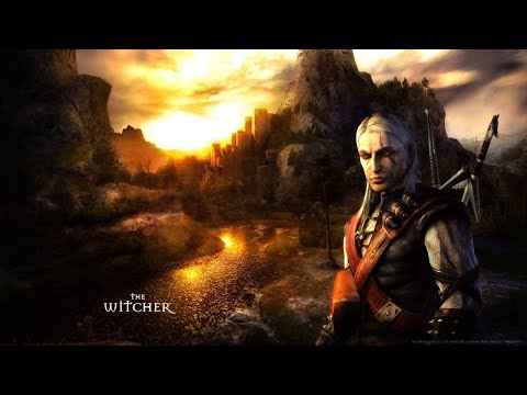 Видео: The Witcher / Сложность: Сложно / Ее Высочество Стрыга #41