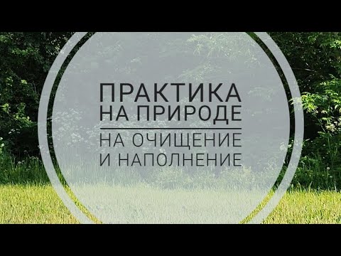 Видео: Практика на природе 🌳очищение и наполнение ✨