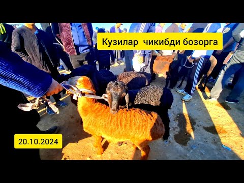 Видео: Карши мол бозори нархлари 20.10.2024