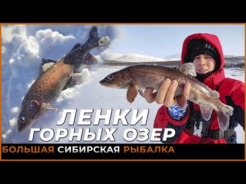 Видео: Ловля ленка ЗИМОЙ со льда на ГОРНОМ ОЗЕРЕ | Лучшее открытие сезона!
