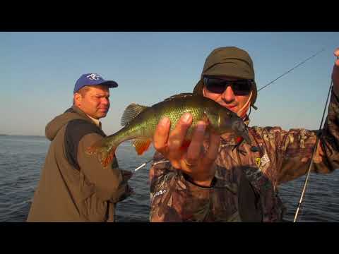 Видео: Спиннинговая рыбалка на Киевском водохранилище [Проверенные Снасти №12]
