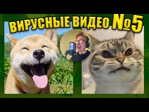 Видео: ВИРУСНЫЕ ВИДЕО / Подборка смешные моменты №5