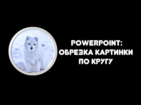 Видео: Powerpoint: как обрезать картинку по кругу