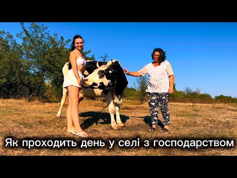 Видео: БОЛЬШЕ ЛИ КОРОВЫЕ ОТРЕЗАТЬ КОПЫТА? КАК ДЕЛАЕТСЯ СМЕТАНА? Трудно ли работать с коровами?🐄