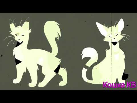 Видео: КЛИП~Коты-Воители--Шкаф стеклянный(заказ от Marble_window)