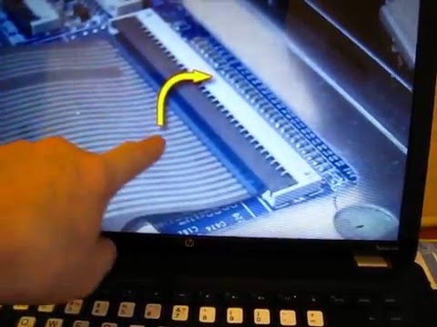 Видео: Не работают кнопки на клавиатуре после разбора, чистки ноутбука.